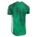Zielona koszulka meczowa Stanno Hatch