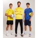 Dres treningowy męski JOMA LION II