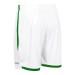 Męskie spodenki piłkarskie Stanno Focus II białe